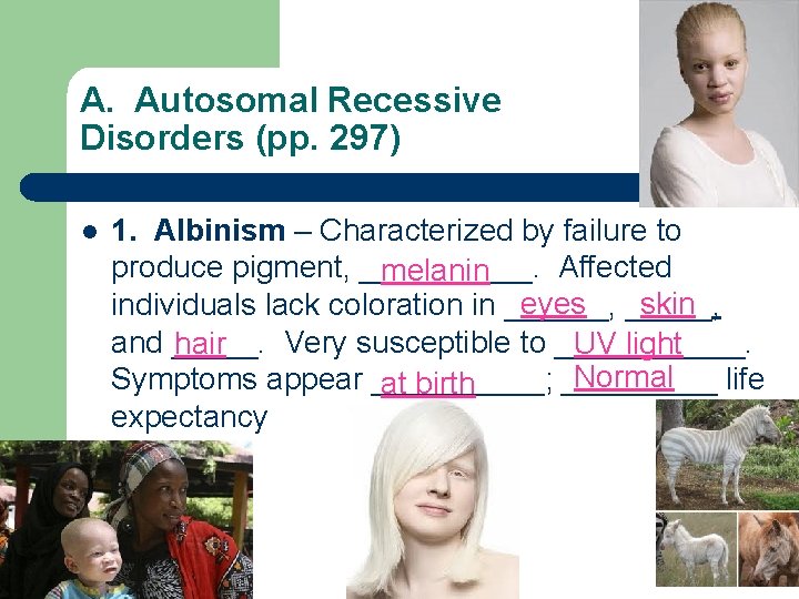 A. Autosomal Recessive Disorders (pp. 297) l 1. Albinism – Characterized by failure to