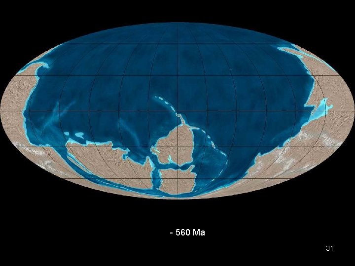 - 560 Ma 31 