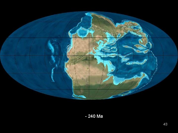 - 240 Ma 43 