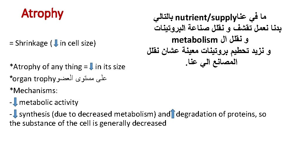 Atrophy = Shrinkage ( in cell size) ﺑﺎﻟﺘﺎﻟﻲ nutrient/supply ﻣﺎ ﻓﻲ ﻋﻨﺎ ﺑﺪﻧﺎ ﻧﻌﻤﻞ