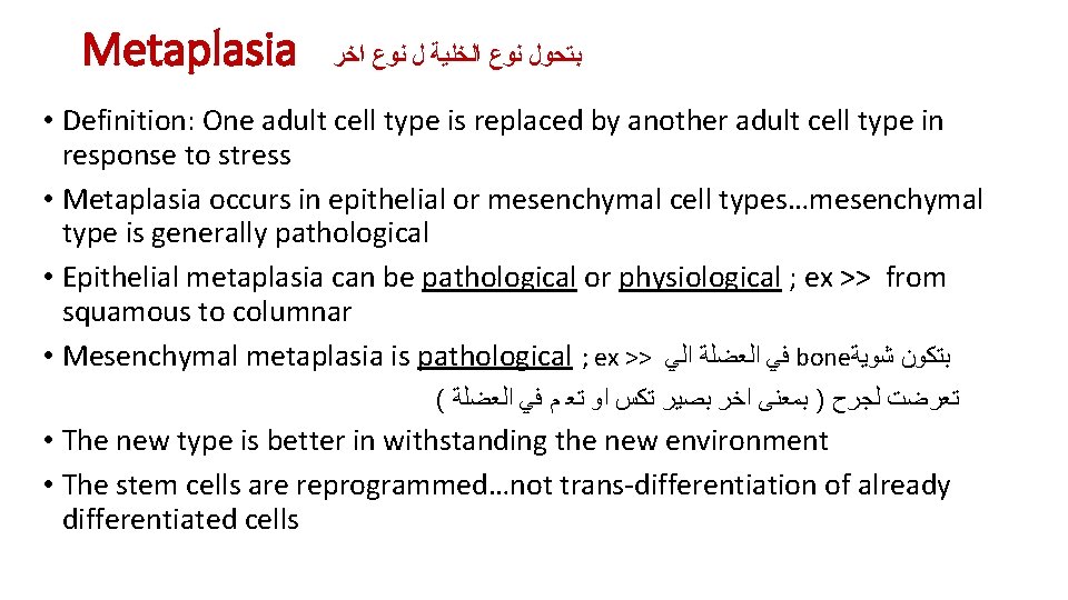 Metaplasia ﺑﺘﺤﻮﻝ ﻧﻮﻉ ﺍﻟﺨﻠﻴﺔ ﻝ ﻧﻮﻉ ﺍﺧﺮ • Definition: One adult cell type is