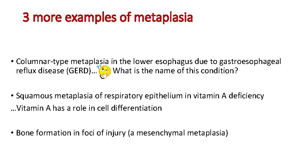 3 more examples of metaplasia • Columnar-type metaplasia in the lower esophagus due to