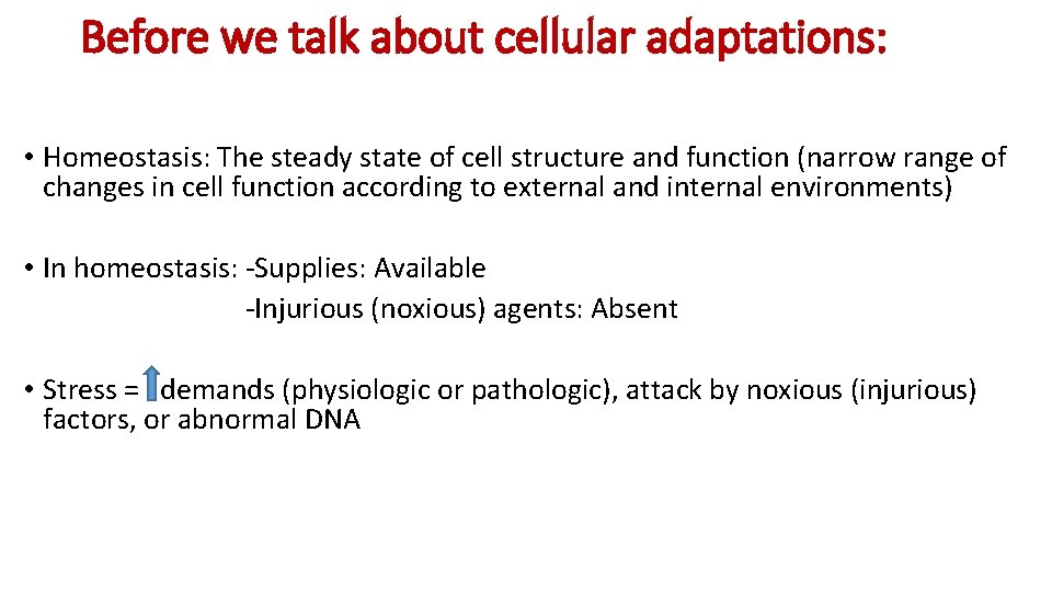 Before we talk about cellular adaptations: • Homeostasis: The steady state of cell structure