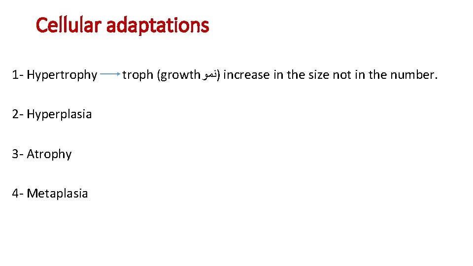 Cellular adaptations 1 - Hypertrophy 2 - Hyperplasia 3 - Atrophy 4 - Metaplasia