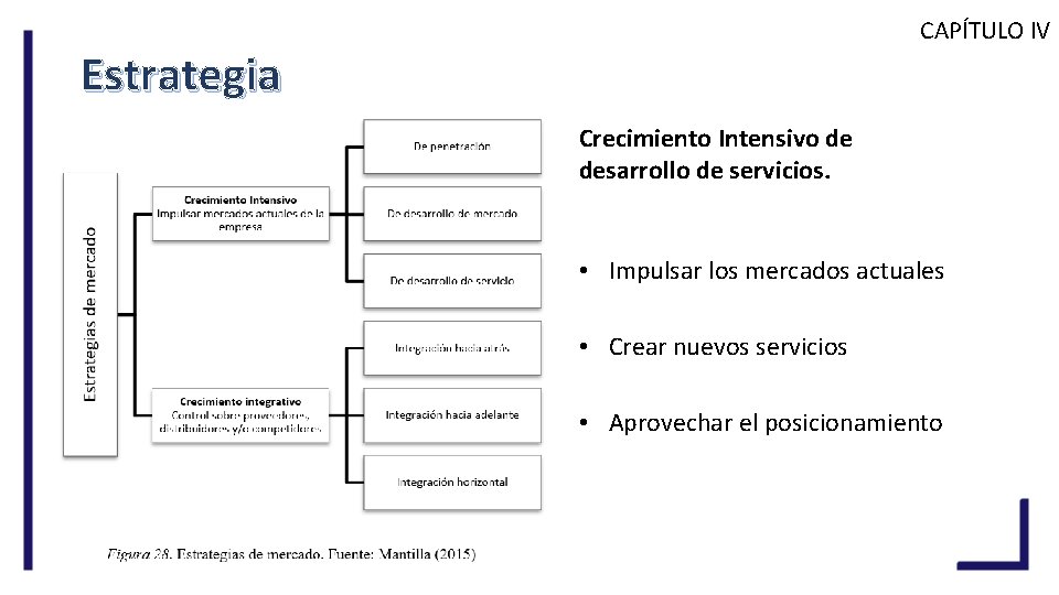 CAPÍTULO IV Estrategia Crecimiento Intensivo de desarrollo de servicios. • Impulsar los mercados actuales