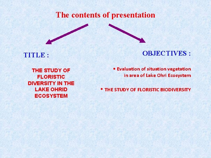 The contents of presentation TITLE : THE STUDY OF FLORISTIC DIVERSITY IN THE LAKE
