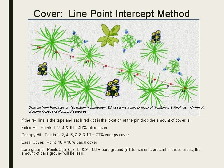 Cover: Line Point Intercept Method Drawing from Principles of Vegetation Management & Assessment and