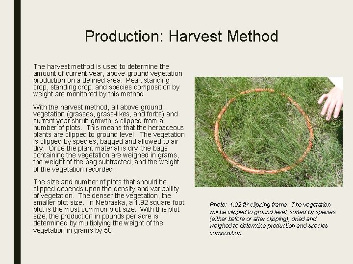 Production: Harvest Method The harvest method is used to determine the amount of current-year,