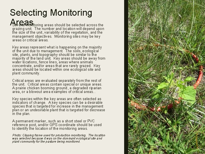 Selecting Monitoring Areas Several monitoring areas should be selected across the grazing unit. The