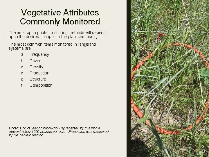 Vegetative Attributes Commonly Monitored The most appropriate monitoring methods will depend upon the desired