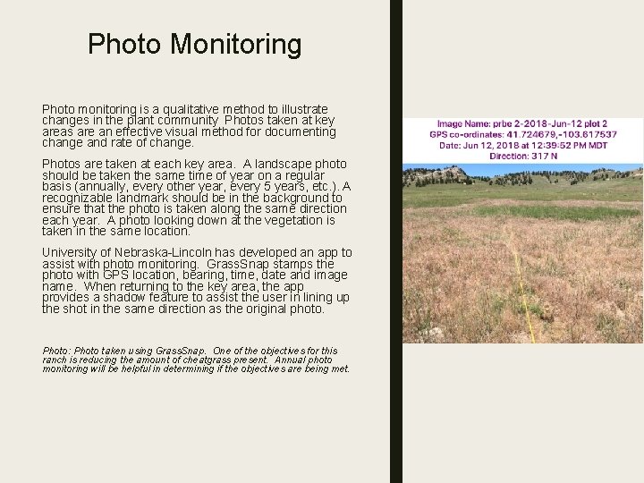 Photo Monitoring Photo monitoring is a qualitative method to illustrate changes in the plant