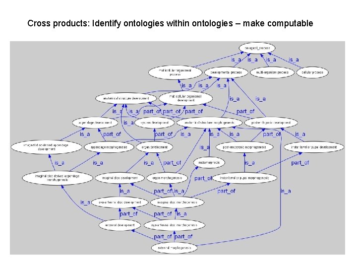 Cross products: Identify ontologies within ontologies – make computable 