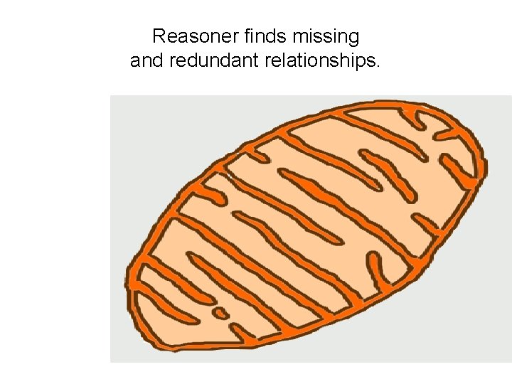 Reasoner finds missing and redundant relationships. 