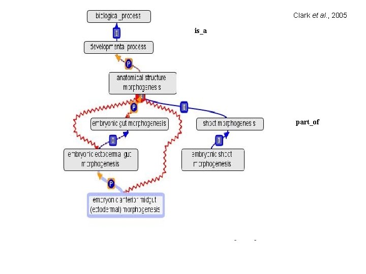 Clark et al. , 2005 is_a part_of 