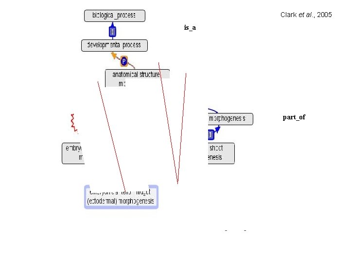 Clark et al. , 2005 is_a part_of 