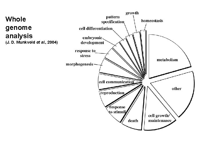 Whole genome analysis (J. D. Munkvold et al. , 2004) Whole genome analysis (J. D. Munkvold et al. , 2004)