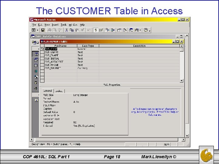 The CUSTOMER Table in Access COP 4610 L: SQL Part 1 Page 18 Mark