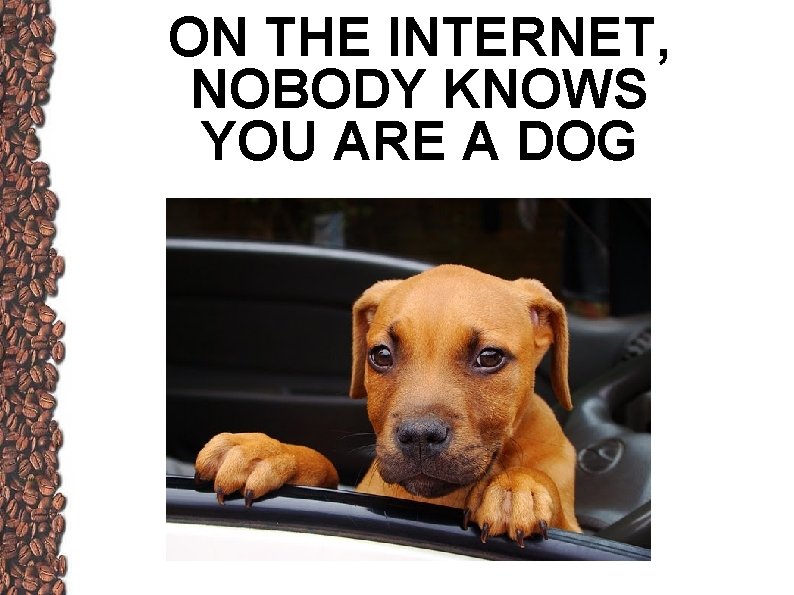 ON THE INTERNET, NOBODY KNOWS YOU ARE A DOG 