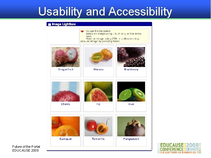 Usability and Accessibility Future of the Portal EDUCAUSE 2009 