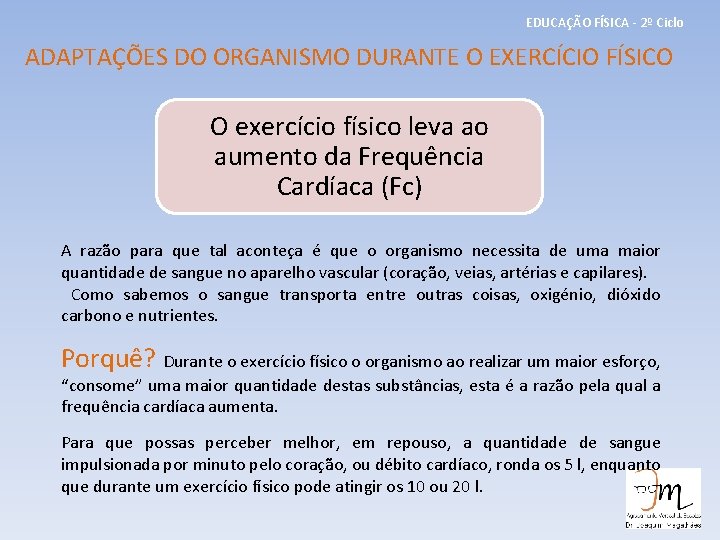 EDUCAÇÃO FÍSICA - 2º Ciclo ADAPTAÇÕES DO ORGANISMO DURANTE O EXERCÍCIO FÍSICO O exercício