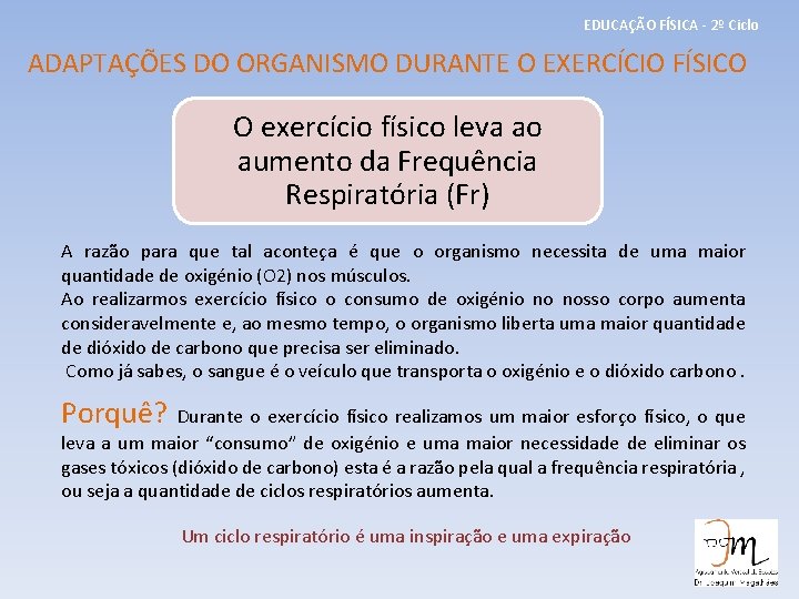 EDUCAÇÃO FÍSICA - 2º Ciclo ADAPTAÇÕES DO ORGANISMO DURANTE O EXERCÍCIO FÍSICO O exercício