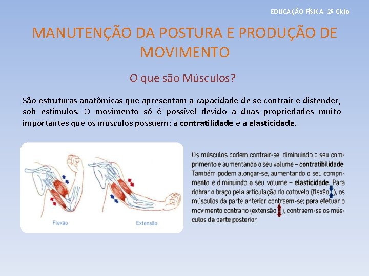 EDUCAÇÃO FÍSICA -2º Ciclo MANUTENÇÃO DA POSTURA E PRODUÇÃO DE MOVIMENTO O que são