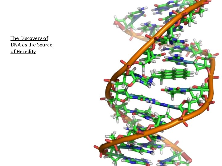 The Discovery of DNA as the Source of Heredity 