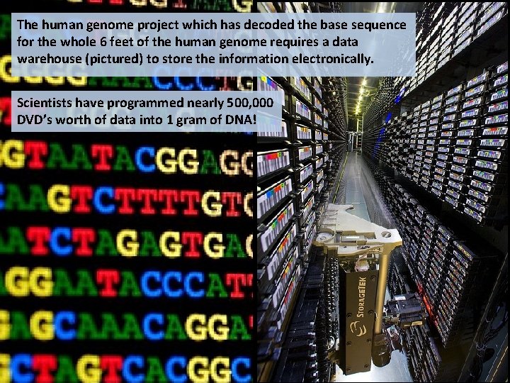 The human genome project which has decoded the base sequence for the whole 6