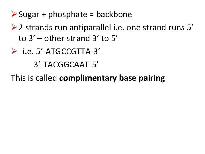 Ø Sugar + phosphate = backbone Ø 2 strands run antiparallel i. e. one