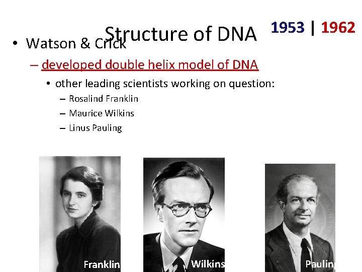 Structure • Watson & Crick of DNA 1953 | 1962 – developed double helix