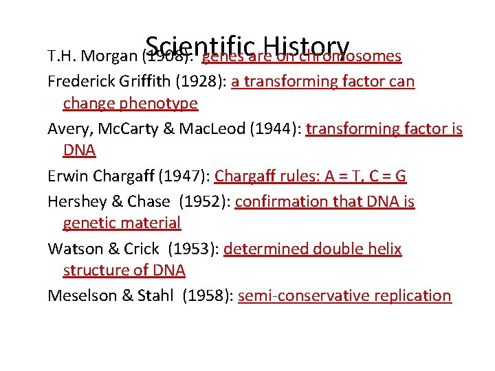 Scientific History T. H. Morgan (1908): genes are on chromosomes Frederick Griffith (1928): a