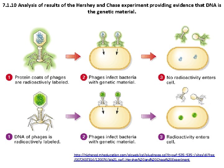 7. 1. 10 Analysis of results of the Hershey and Chase experiment providing evidence