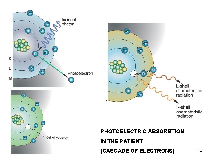 PHOTOELECTRIC ABSORBTION IN THE PATIENT (CASCADE OF ELECTRONS) 13 