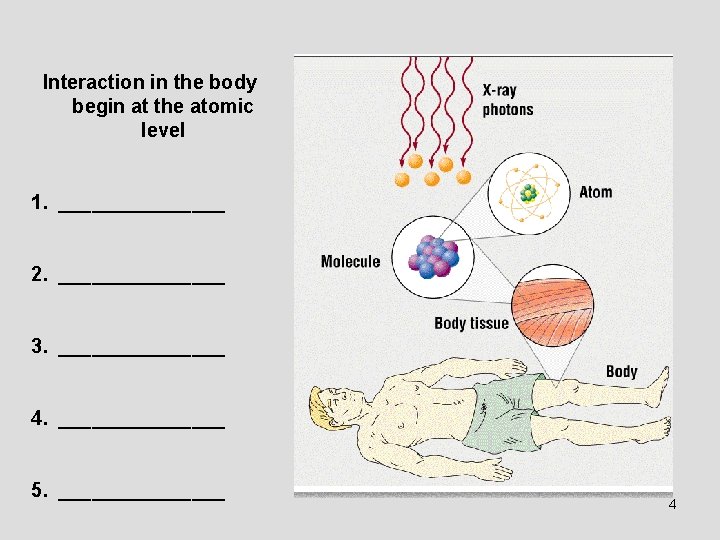 Interaction in the body begin at the atomic level 1. ________ 2. ________ 3.