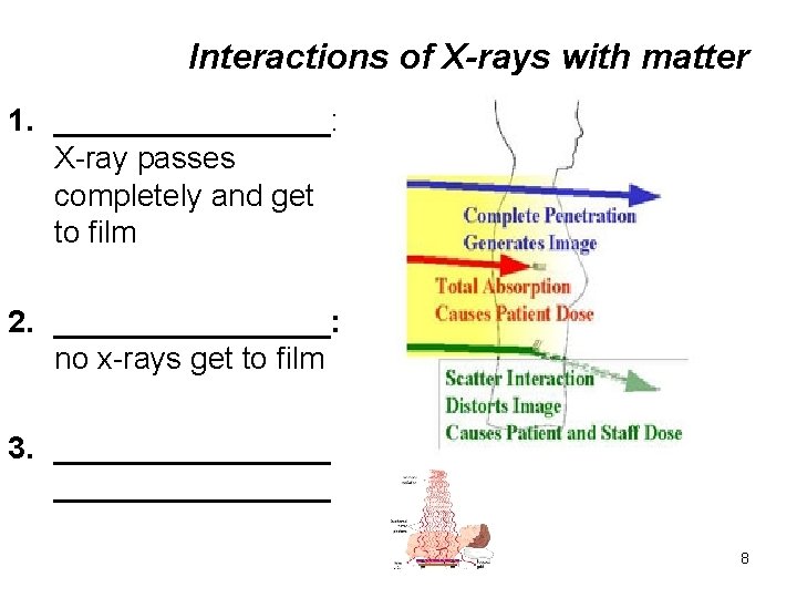 Interactions of X-rays with matter 1. ________: X-ray passes completely and get to film