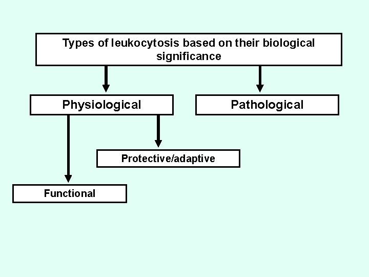 Types of leukocytosis based on their biological significance Physiological Protective/adaptive Functional Pathological 