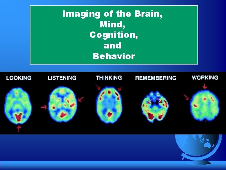 Imaging of the Brain, Mind, Cognition, and Behavior 