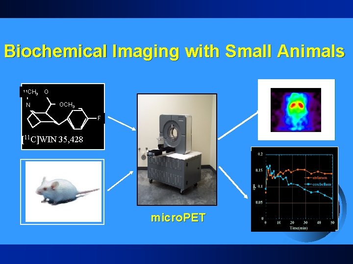 Biochemical Imaging with Small Animals 11 CH 3 N O OCH 3 F [11