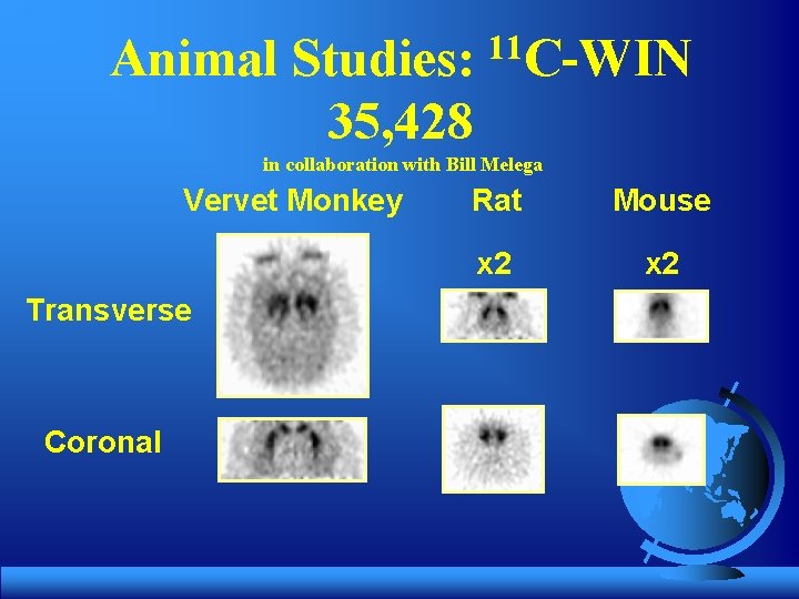 Animal Studies: 11 C-WIN 35, 428 in collaboration with Bill Melega Vervet Monkey Transverse