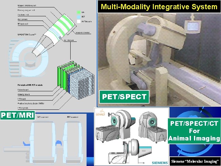 Multi-Modality Integrative System PET/SPECT PET/MRI PET/SPECT/CT For Animal Imaging Siemens “Molecular Imaging” 