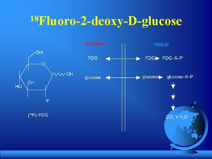 18 Fluoro-2 -deoxy-D-glucose 