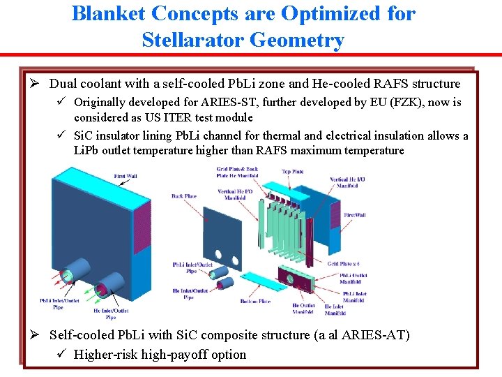 Blanket Concepts are Optimized for Stellarator Geometry Ø Dual coolant with a self-cooled Pb.