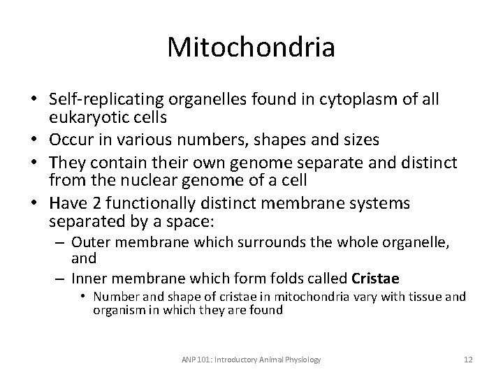 Mitochondria • Self-replicating organelles found in cytoplasm of all eukaryotic cells • Occur in