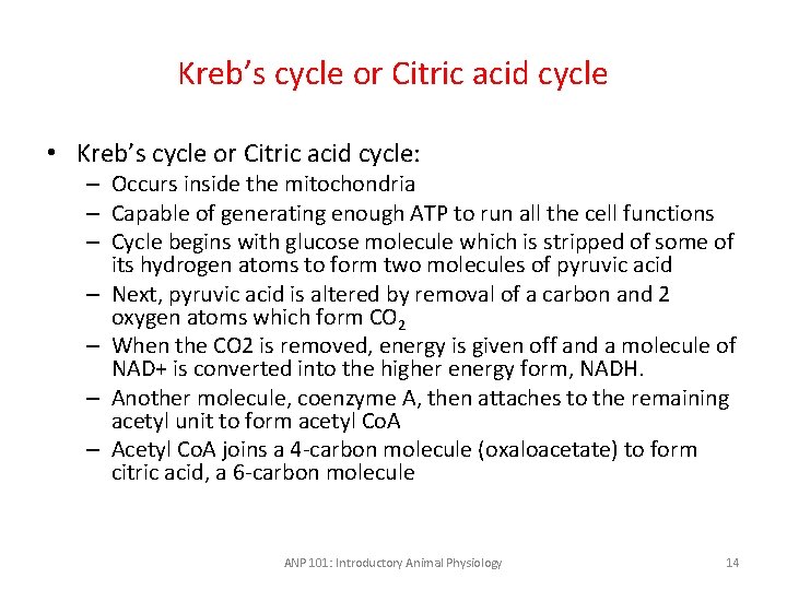 Kreb’s cycle or Citric acid cycle • Kreb’s cycle or Citric acid cycle: –