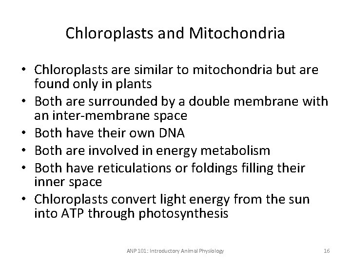 Chloroplasts and Mitochondria • Chloroplasts are similar to mitochondria but are found only in