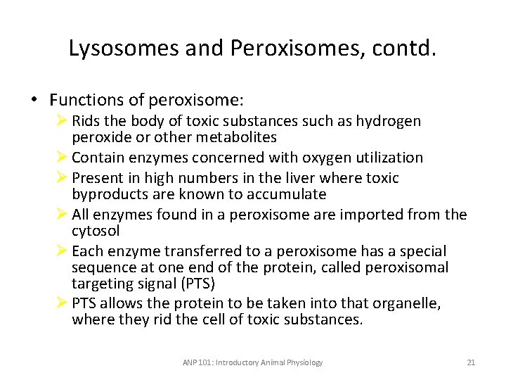 Lysosomes and Peroxisomes, contd. • Functions of peroxisome: Ø Rids the body of toxic