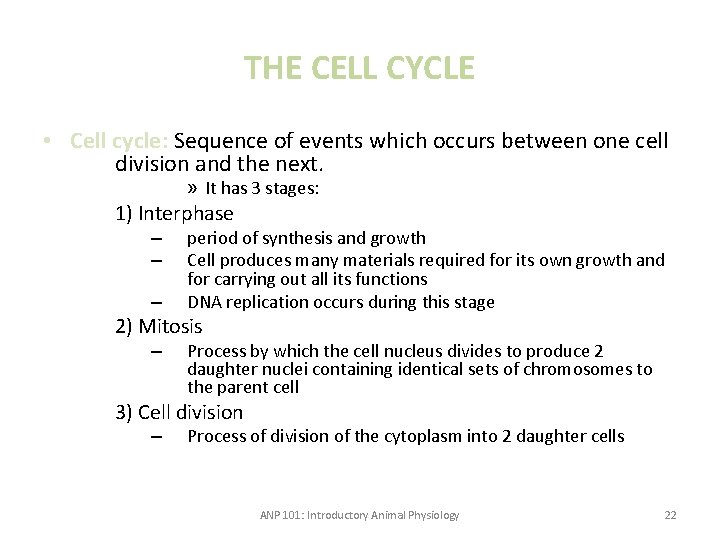 THE CELL CYCLE • Cell cycle: Sequence of events which occurs between one cell