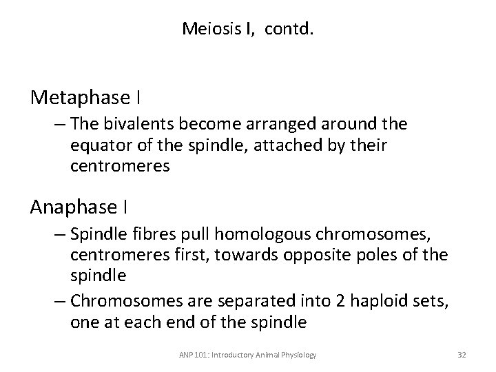 Meiosis I, contd. Metaphase I – The bivalents become arranged around the equator of