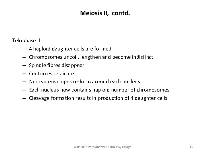Meiosis II, contd. Telophase II – 4 haploid daughter cells are formed – Chromosomes