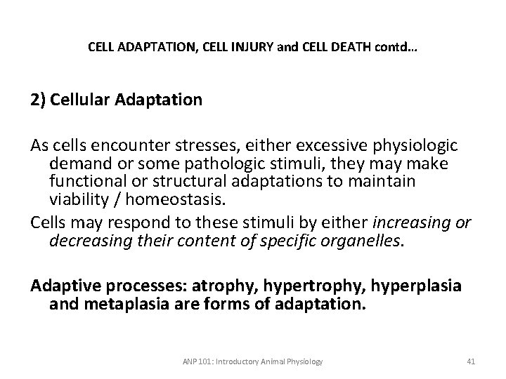 CELL ADAPTATION, CELL INJURY and CELL DEATH contd… 2) Cellular Adaptation As cells encounter